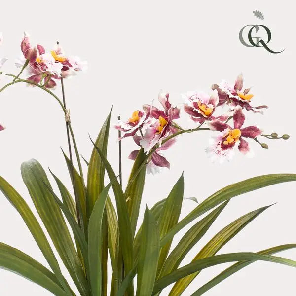 Kunstplant - Orchidee - Bordeaux - 45cm  BotanicBridge