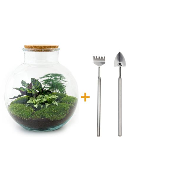 DIY terrarium - Bolder Bob - ↕ 30 cm - Rake + Shovel  BotanicBridge