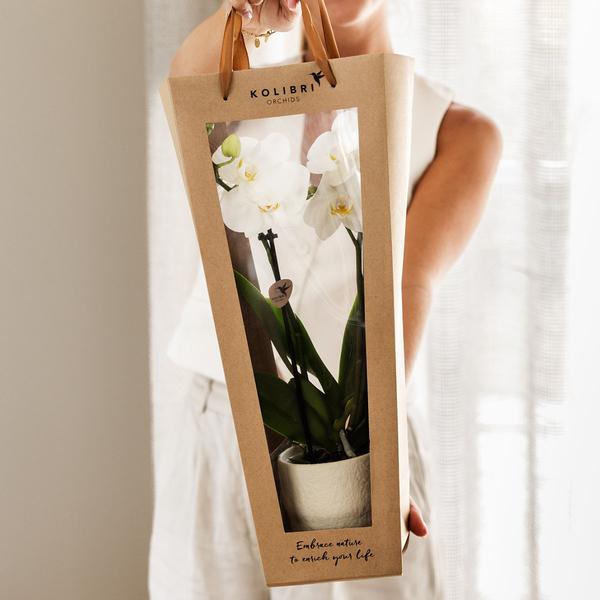 Kolibri Company I Cadeau tasje voor Orchidee met Sierpot 9cm  BotanicBridge