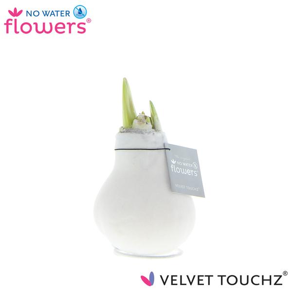 No Water Flowers Velvet Touchz® White - ↕15cm  BotanicBridge