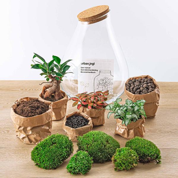 DIY terrarium - Drop XL Bonsai -↕ 37 cm - Rake + Shovel + Tweezer  BotanicBridge