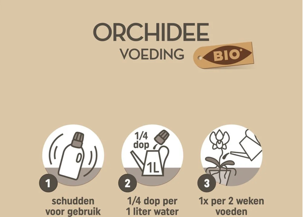 Pokon bio orchidee voeding 250 ml  BotanicBridge