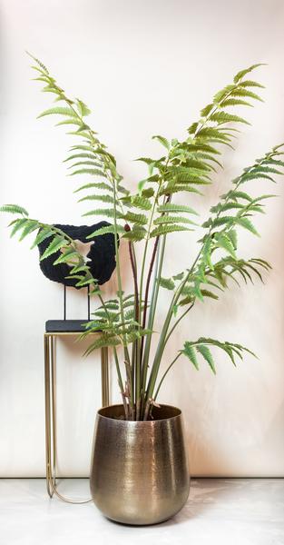 Kunstplant - Rumohra Adiantiformis - Ledervaren - 180 cm  BotanicBridge