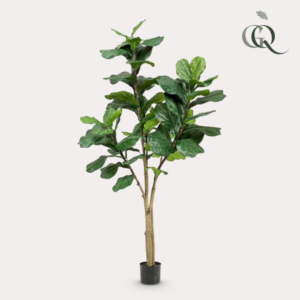 Kunstplant - Ficus Lyrata - Tabaksplant - 180 cm  BotanicBridge