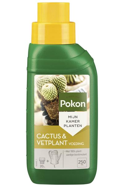 Cactus Plant Voeding 250ML  BotanicBridge