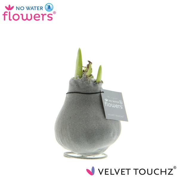 No Water Flowers Velvet Touchz® Silver - ↕15cm  BotanicBridge