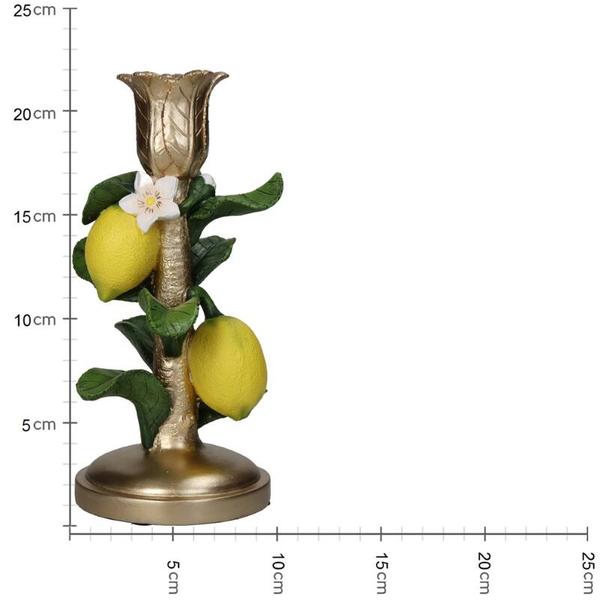 Kandelaar met Citroenplant - ↑ 22 cm  BotanicBridge