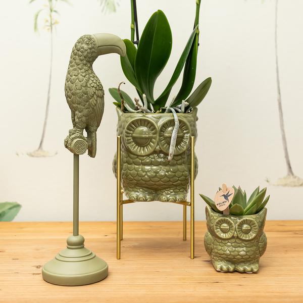 Kolibri Home | Ornament - Decoratie beeld Toucan - Green  BotanicBridge