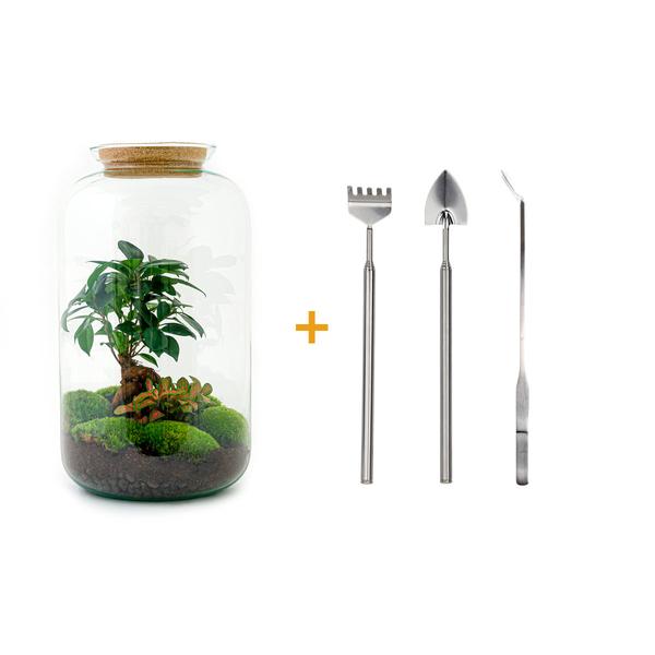 DIY terrarium - Sven Bonsai - ↕ 43 cm - Rake + Shovel + Tweezer  BotanicBridge