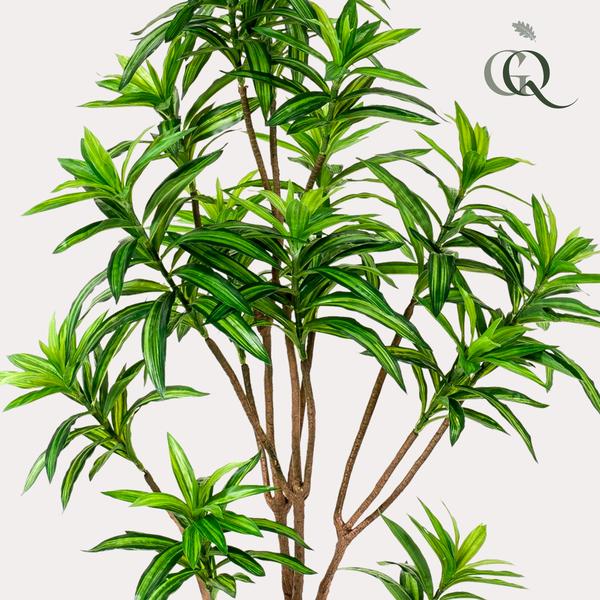 Kunstplant - Dracaena - Drakenboom - 155 cm  BotanicBridge