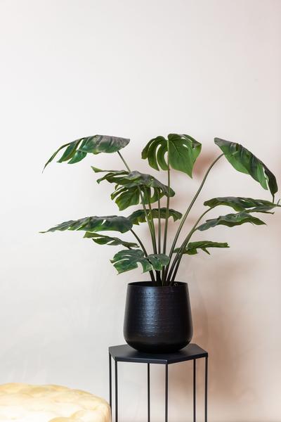 Monstera Deliciosa - kunstplant - 80 cm  BotanicBridge