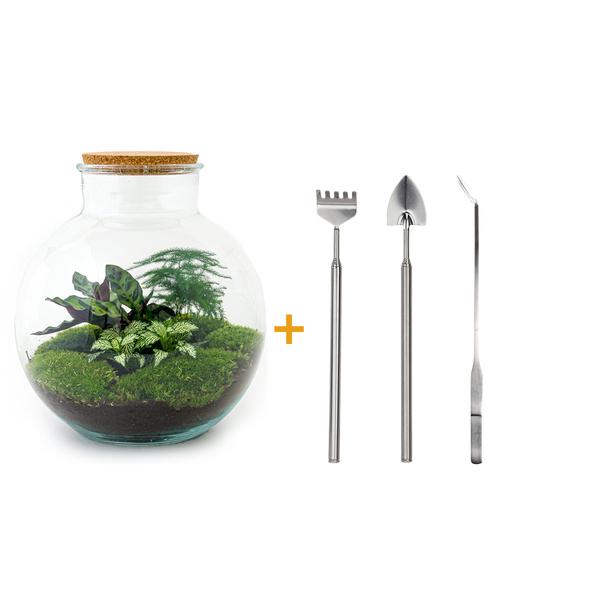 DIY terrarium - Bolder Bob - ↕ 30 cm - Rake + Shovel + Tweezer  BotanicBridge