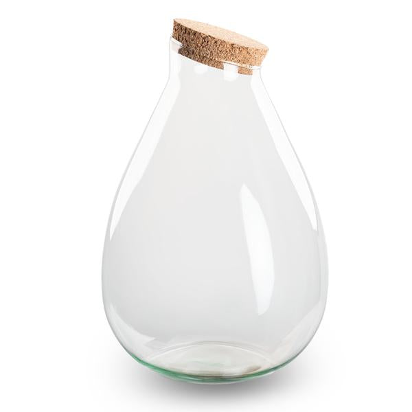 Terrarium fles met kurk - Gesloten terrarium - Drop XL - ↑ 37 cm  BotanicBridge