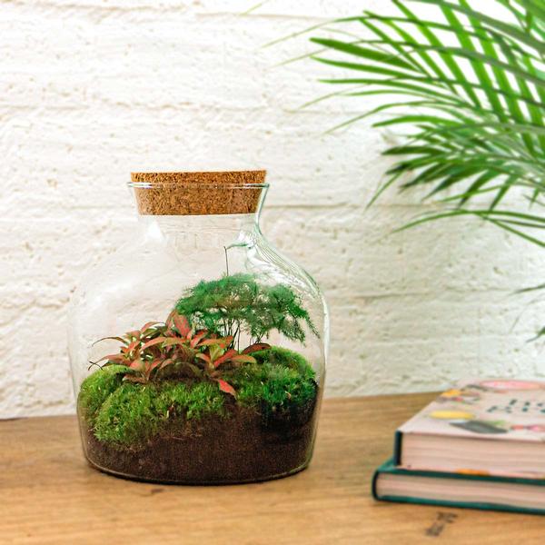 DIY terrarium - Little Joe - ↕ 21,5 cm - Rake + Shovel + Tweezer + Scissors  BotanicBridge