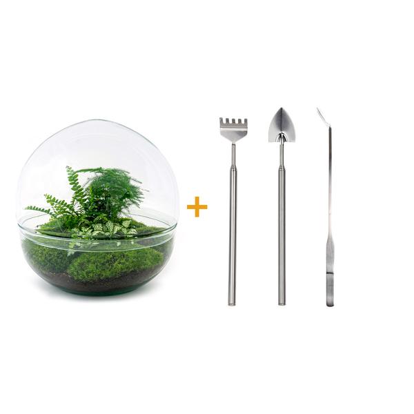 DIY terrarium - Dome XL - ↕ 30 cm - Rake + Shovel + Tweezer  BotanicBridge