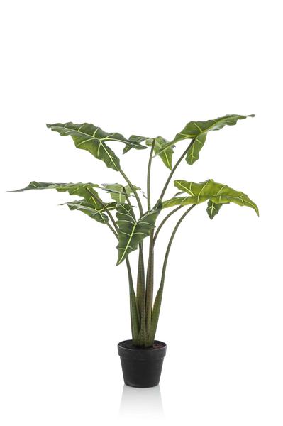 Kunstplant - Alocasia Frydek - Olifantsoor - 100 cm  BotanicBridge