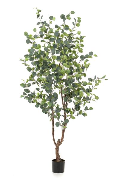 Kunstplant - Eucalyptus - Blauwe Gomboom  - 180 cm  BotanicBridge