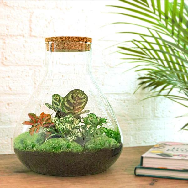 DIY terrarium - Sam XL Rood - ↕ 35 cm - Rake + Shovel + Tweezer + Scissors  BotanicBridge