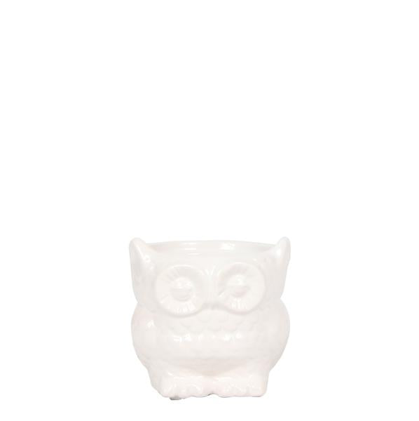 Kolibri Home | Owl bloempot - Witte keramieken sierpot - Ø6cm  BotanicBridge