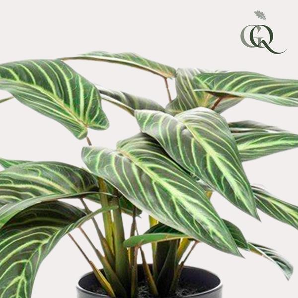 Kunstplant - Calathea Zebrina - Schaduwplant - 38 cm  BotanicBridge