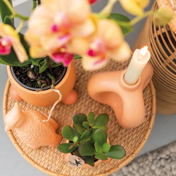 Kolibri Home | Rolling peach bloempot - Peach kleurige keramieken sierpot - Ø9cm  BotanicBridge