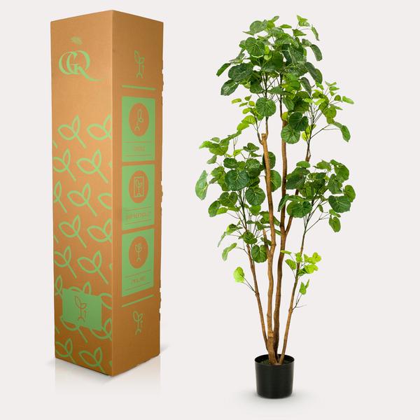 Kunstplant - Polyscias - Aralia - 160 cm  BotanicBridge