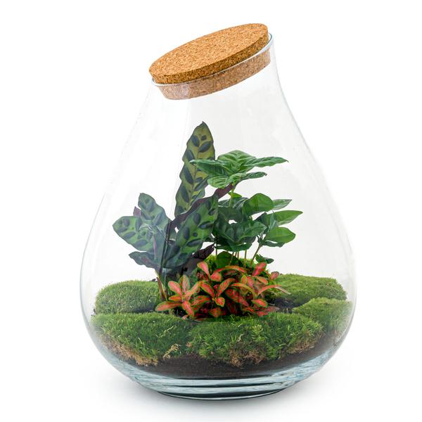 DIY terrarium - Drop XL Rood - ↕ 37 cm - Rake + Shovel  BotanicBridge