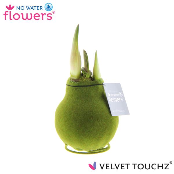 No Water Flowers Velvet Touchz® Moss Green - ↕15cm  BotanicBridge