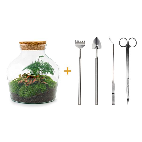 DIY terrarium - Little Joe - ↕ 21,5 cm - Rake + Shovel + Tweezer + Scissors  BotanicBridge