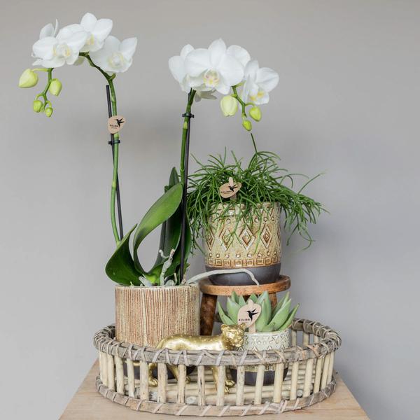 Kolibri Home | Decoratieschaal - Rond Willow dienblad Ø30cm  BotanicBridge