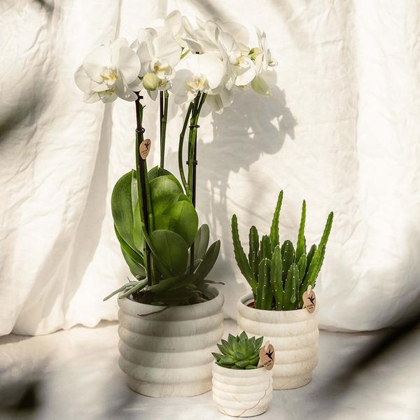 Kolibri Home | Marble pot - Light - Ø12cm  BotanicBridge