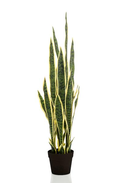 Kunstplant - Sanseveria Trifasciata - Vrouwentong - 97 cm  BotanicBridge