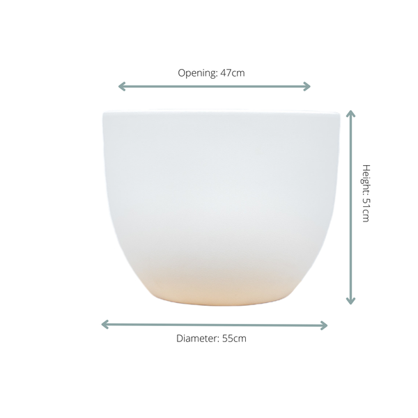 Pot Eggy Wit - D55 x H43  BotanicBridge