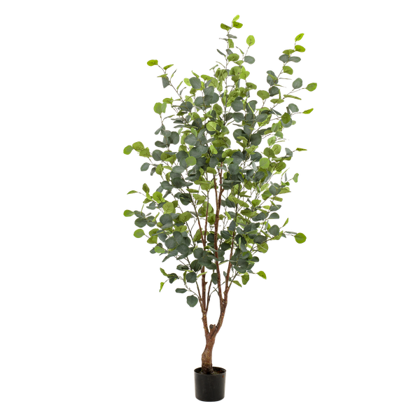 Kunstplant - Eucalyptus - Blauwe Gomboom  - 140 cm  BotanicBridge