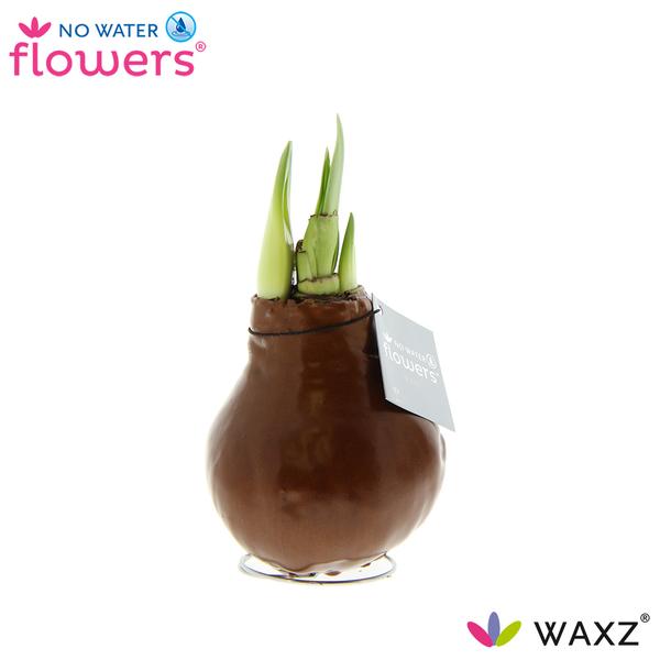 No Water Flowers Waxz® Metallic Copper - ↕15cm  BotanicBridge