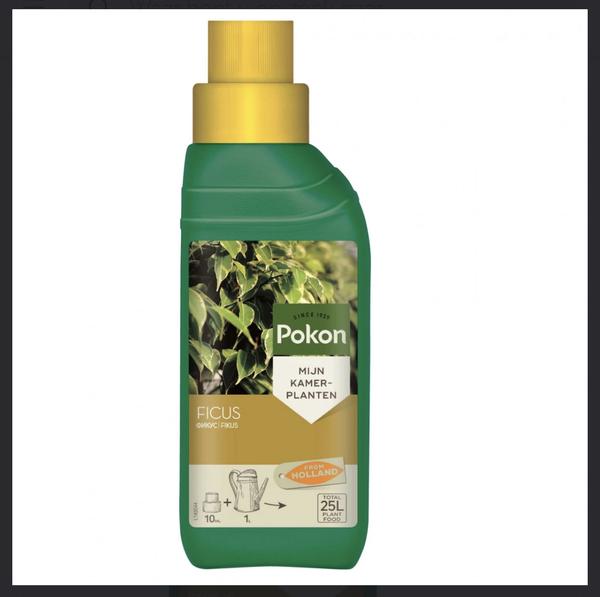 Ficus Plant Voeding 250ML  BotanicBridge