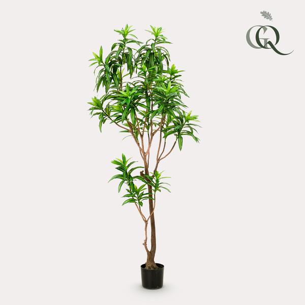 Kunstplant - Dracaena - Drakenboom - 190 cm  BotanicBridge