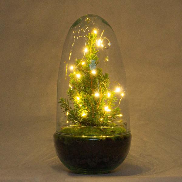 DIY terrarium - Egg Christmas - Kerst decoratie ↕ 25 cm  BotanicBridge