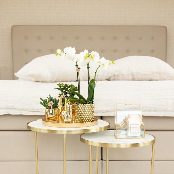 Kolibri Home | Metallic diamond bloempot - Gouden keramieken sierpot Ø9cm  BotanicBridge