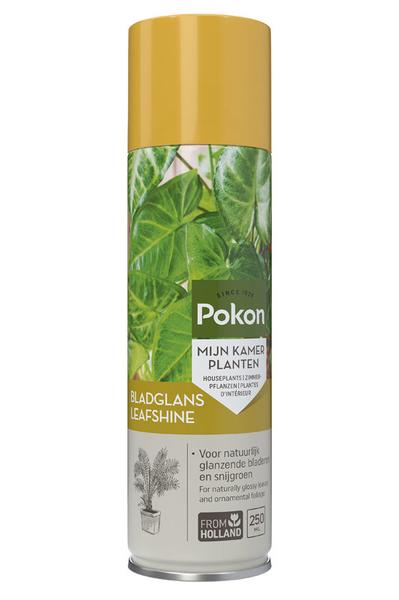 Pokon Bladglans 250 ml  BotanicBridge