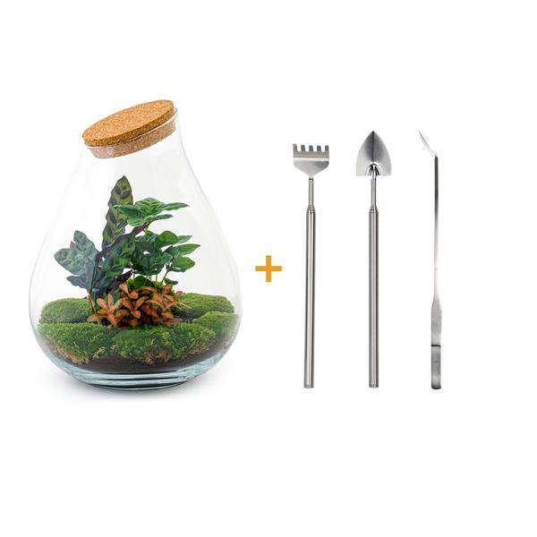 DIY terrarium - Drop XL Rood - ↕ 37 cm - Rake + Shovel + Tweezer  BotanicBridge