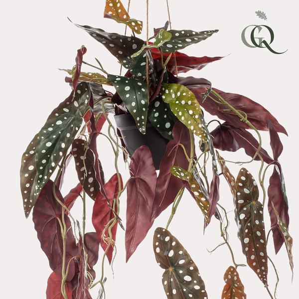 Kunstplant - Begonia Maculata - Stippenbegonia - 80 cm  BotanicBridge