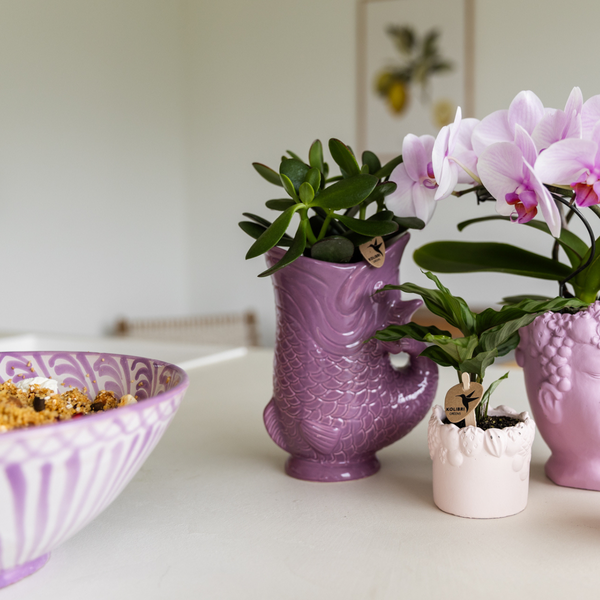 Kolibri Home | Fish  - Lilac - Ø9cm  BotanicBridge