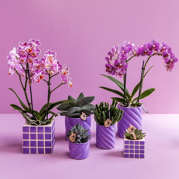 Kolibri Home | Candy sierpot - Lilac - Ø9cm  BotanicBridge