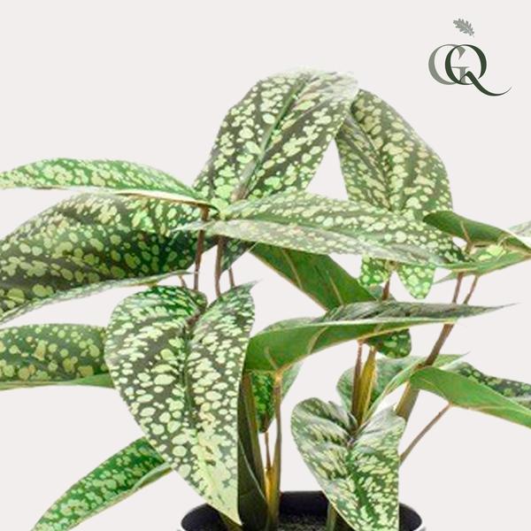 Kunstplant - Calathea Dots - Schaduwplant - 38 cm  BotanicBridge