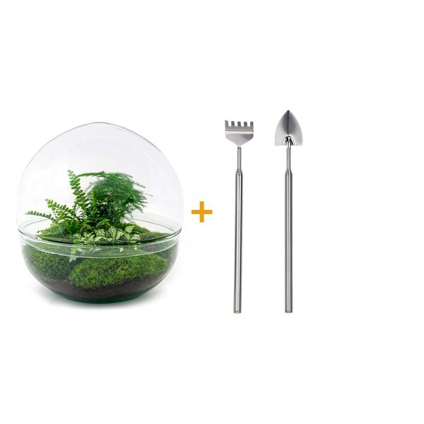 DIY terrarium - Dome XL - ↕ 30 cm - Rake + Shovel  BotanicBridge