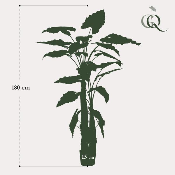 Kunstplant - Alocasia - Olifantsoor - 180 cm  BotanicBridge