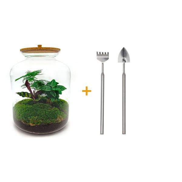 DIY terrarium - Lukas - ↕ 33 cm - Rake + Shovel  BotanicBridge