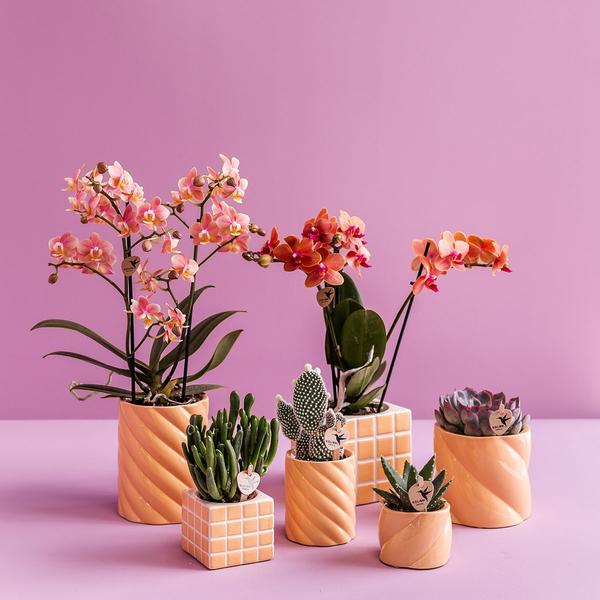 Kolibri Home | Candy sierpot - Peach - Ø9cm  BotanicBridge