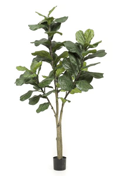 Kunstplant - Ficus Lyrata - Tabaksplant - 180 cm  BotanicBridge